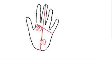 Premium Boxing Gloves for Adults & Kids – Half Finger Design for MMA, Muay Thai, Karate, Taekwondo & Fitness – High-Quality PU Leather, Breathable Mesh – Multiple Sizes (S-XXL) - StrengthXPhysiotherapy